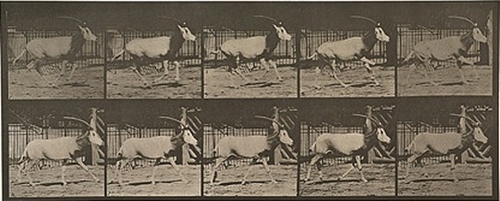 Orex Galloping (1887)