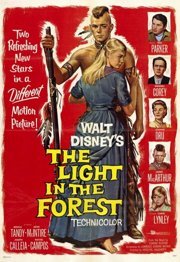 Свет в лесу (1958)