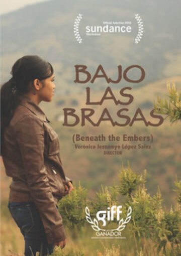 Bajo las brasas (2015)