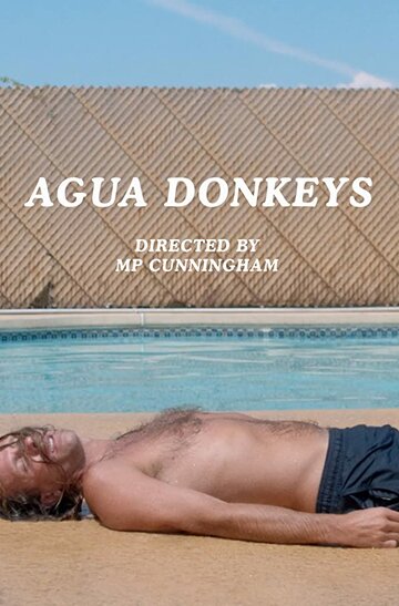 Agua Donkeys (2018)